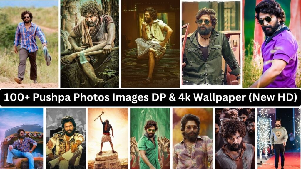 100+ Pushpa Photos Images Dp & 4k Wallpaper (new Hd)