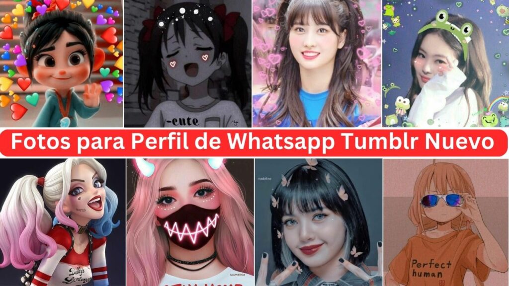 Fotos Para Perfil De Whatsapp tumblr Nuevo 2023