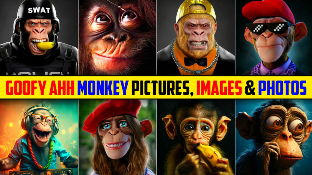 Goofy Ahh Monkey Pictures, Funny, Memes, Pfp Wallpaper New 2024