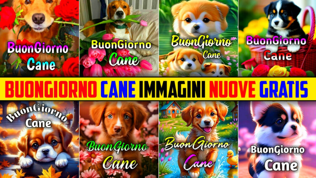 Buongiorno Cane Immagini, Gif, Fotos Nuove Gratis 2024