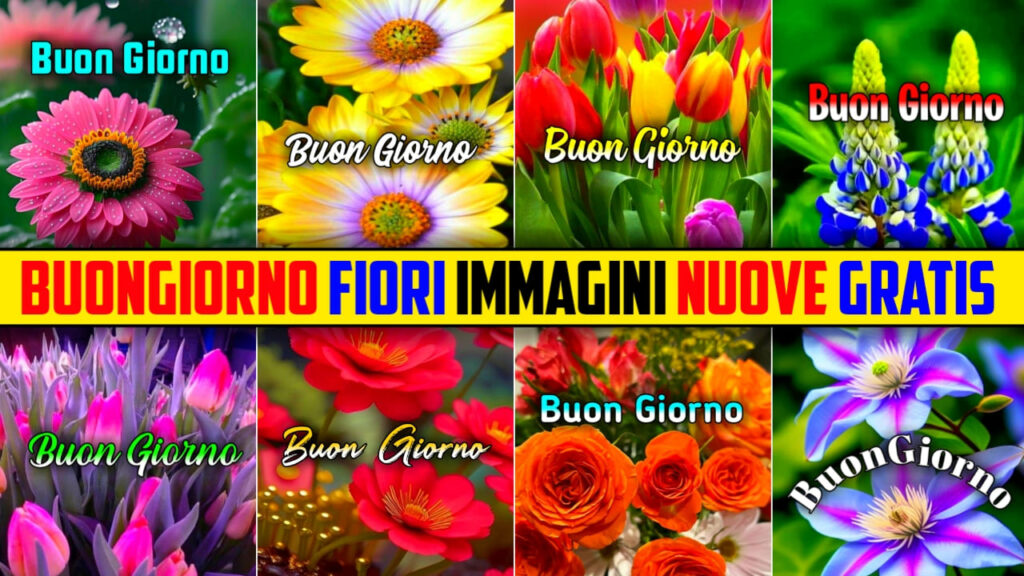 Buongiorno Fiori Immagini Nuove Gratis 2024