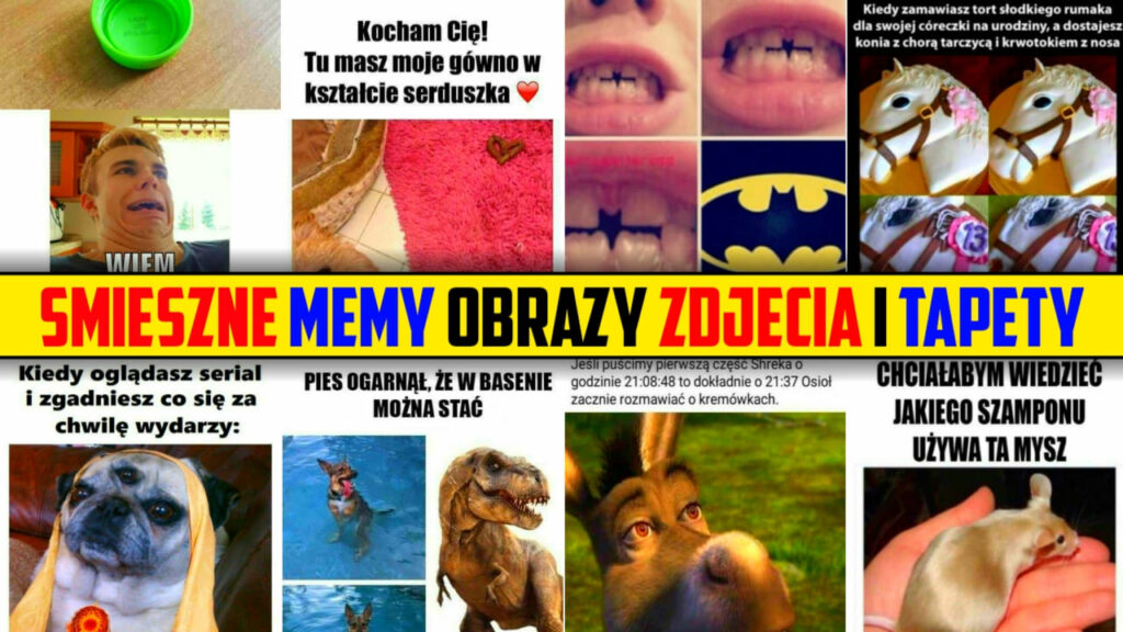 Śmieszne Memy Obrazy, Zdjęcia Nowy Bezpłatny 2024