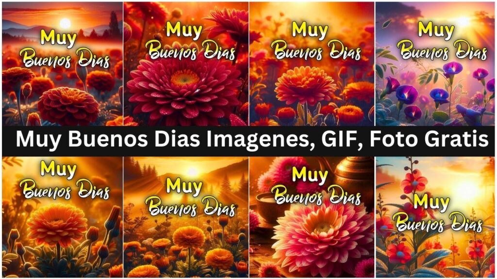 Muy Buenos Dias Imagenes, Gif, Foto Nuevas Gratis 2024