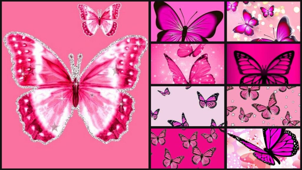 Pink Butterfly Wallpaper 4k, 5k, 8k, Aesthetic New Free 2024