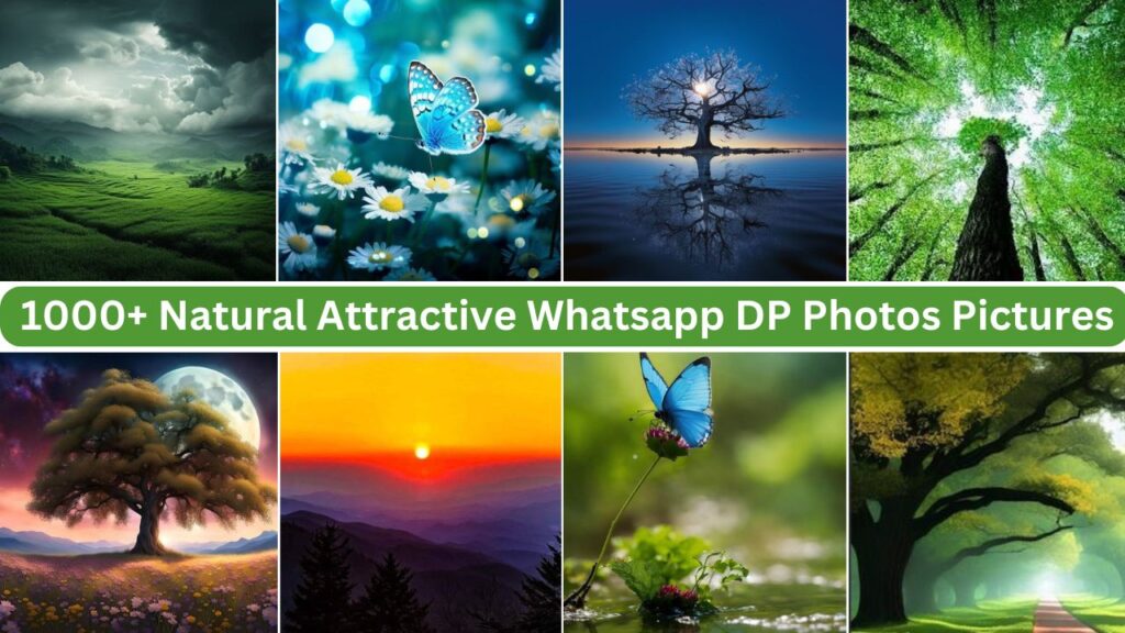 100+ Natural Attractive WhatsApp DP Photos Pictures Download 2025